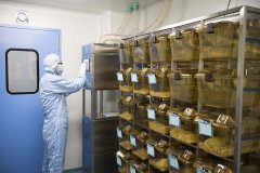 化学实验室建设如何设计以后使用才保证安全