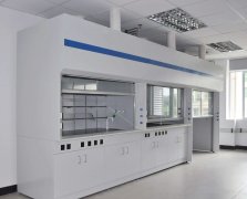 江西浅谈实验室通风柜的性能与要求
